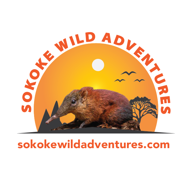 Sokoke Wild Adventures